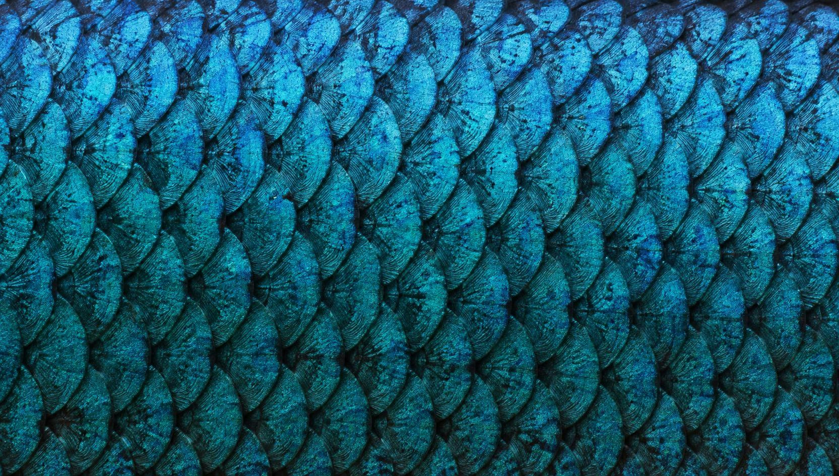 05 / Scale microstructure
